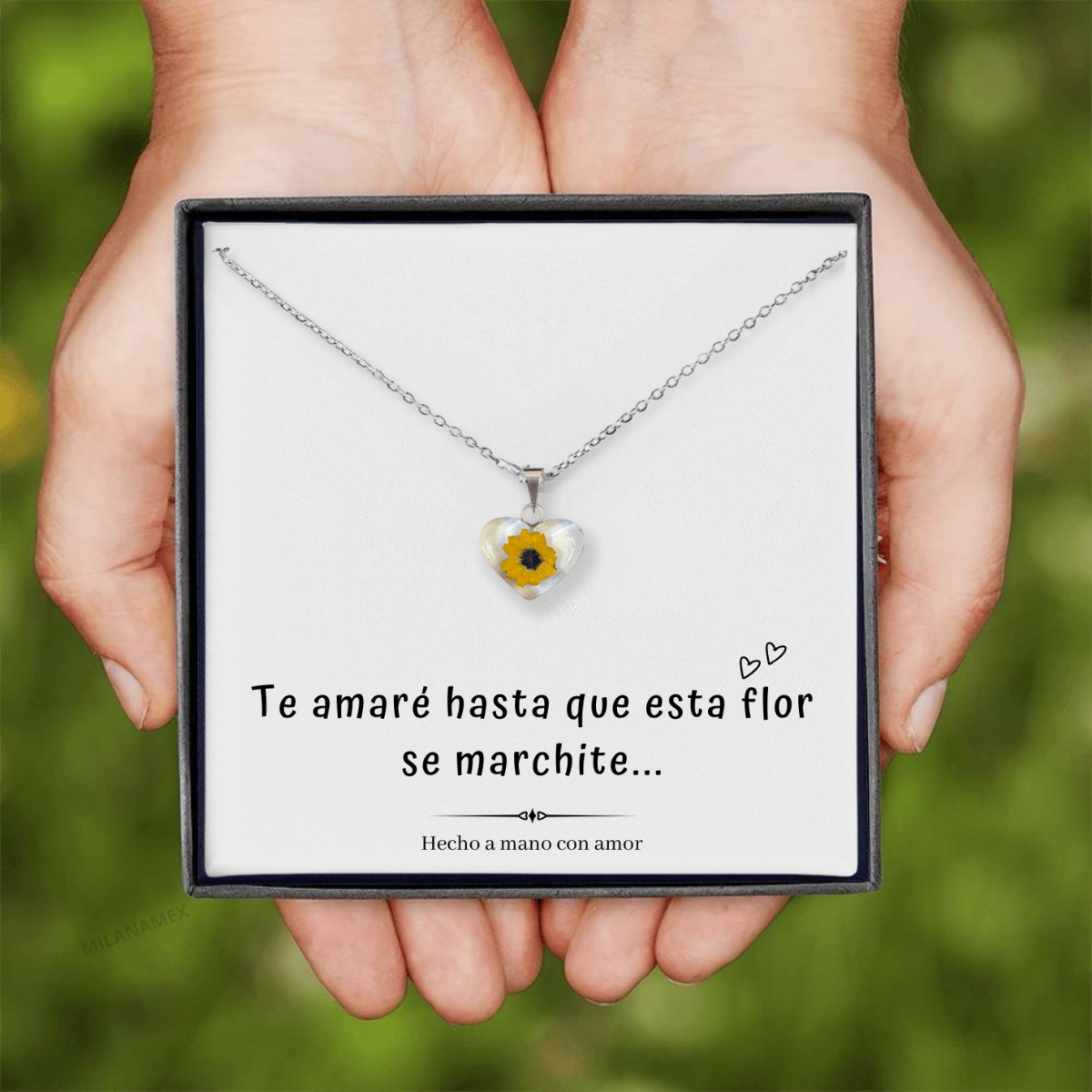 Girasol te amaré