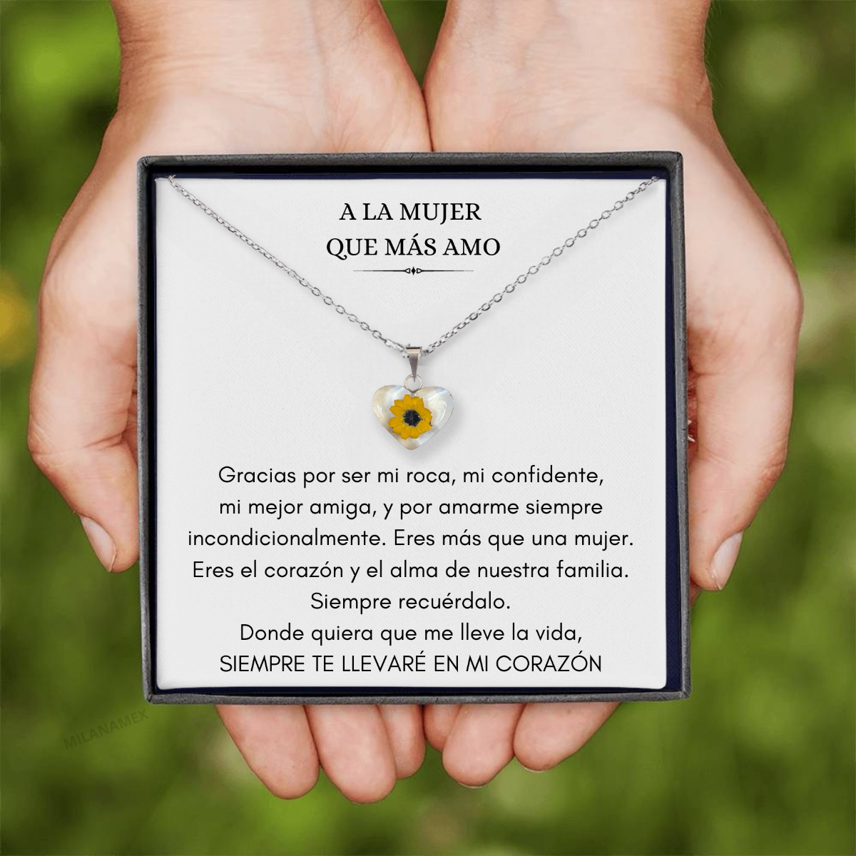Girasol eterno estar