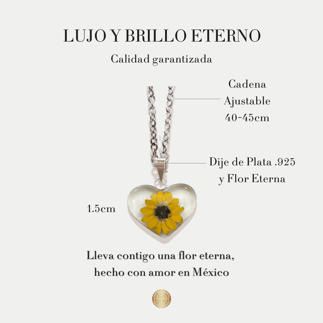 Collar de Girasol Encapsulado: Un regalo Inspirado en Shrek