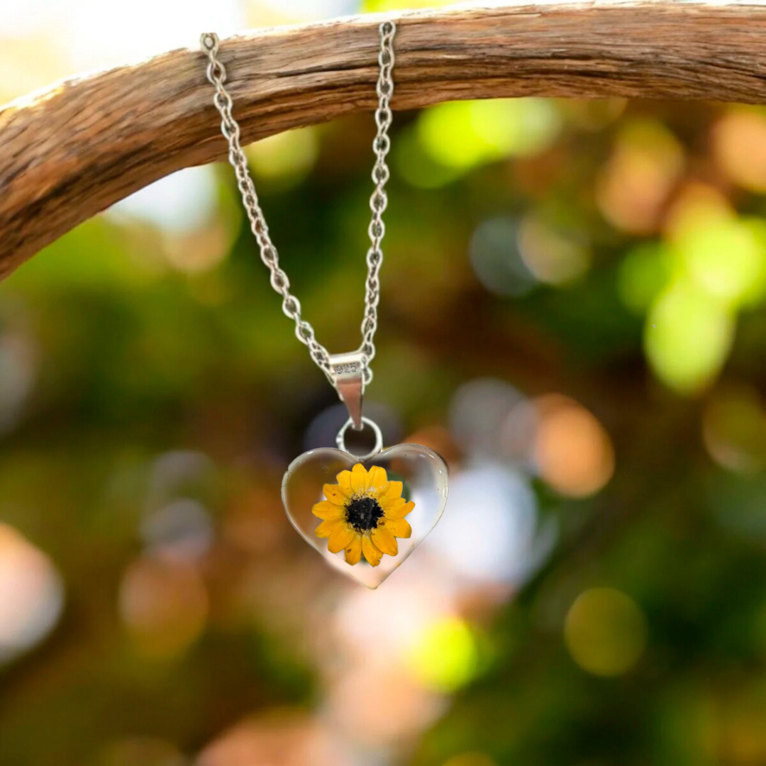 Como el girasol sigue al sol, este gesto sigue al corazón