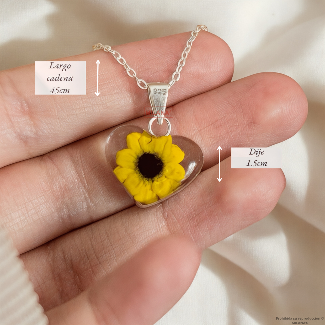 Girasol Eterno: El Regalo que Ella Nunca Olvidará este San Valentín