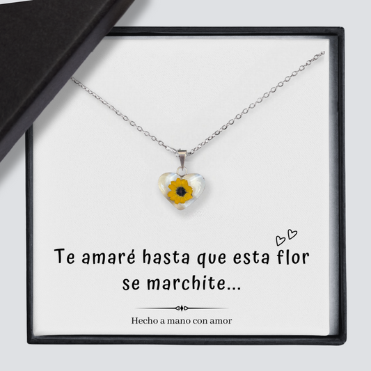 Girasol te amaré