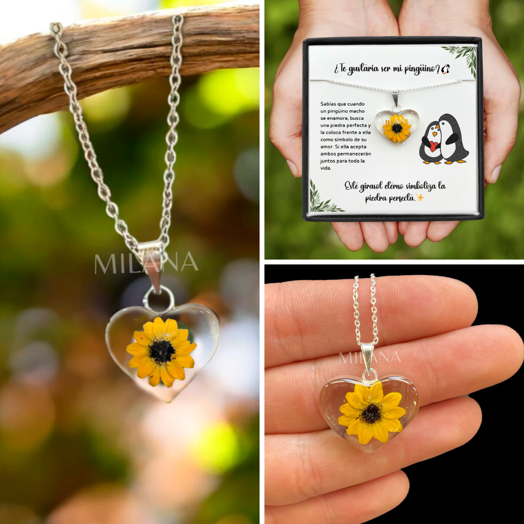 Collar de Girasol Eterno: Un Símbolo de Amor Pingüino